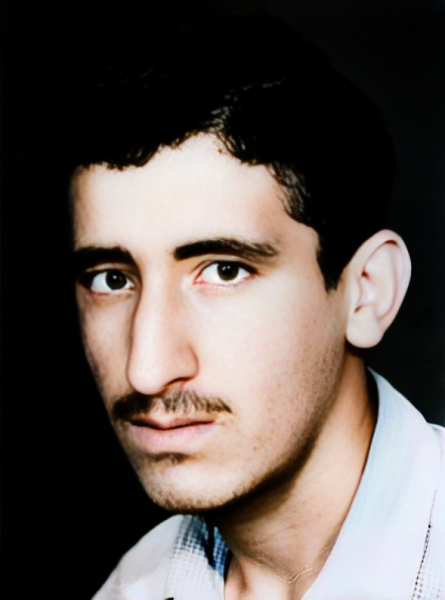 شیرزاد پیاده