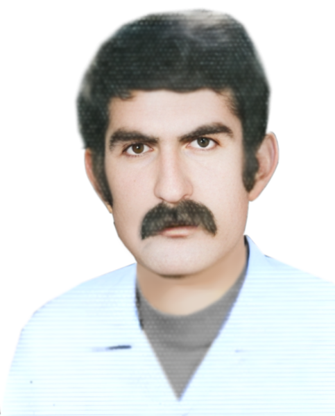 بهمن فضل اللهی