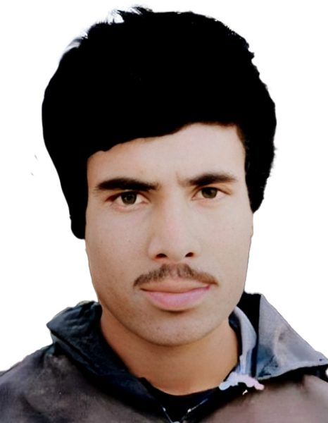محمود فرهمند