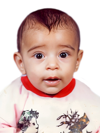 مجتبی فرمانی