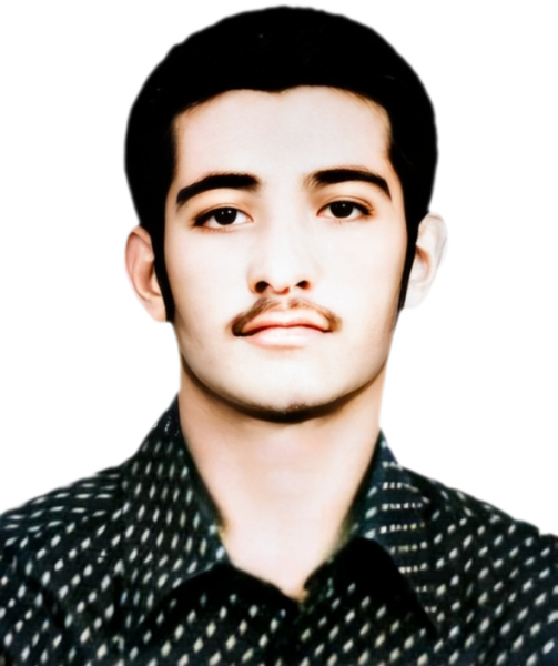 محمود فولادی