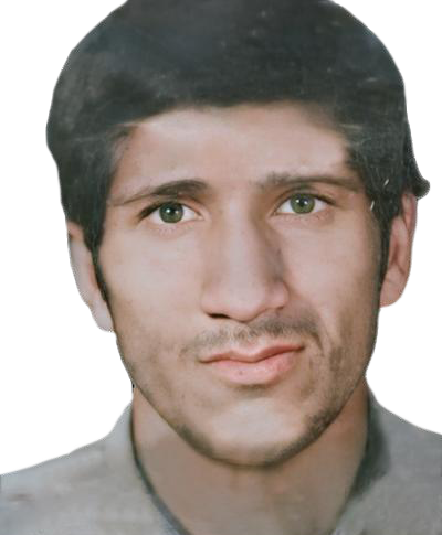 محمدحسین ارجائی