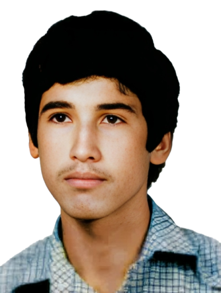 بهمن روستاپور