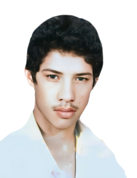محمود علی برزگرمروستی