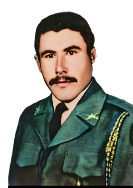 امین اله آرایش