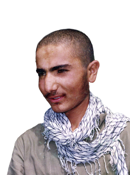 سبزه  علی آزادی شیری