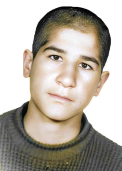 محمدرضا اردلان