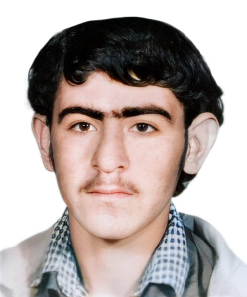 نادر خسروانی شیری