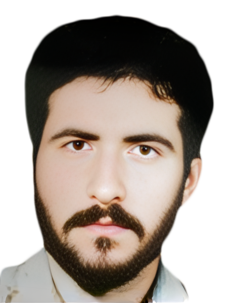 محمود ذاکری