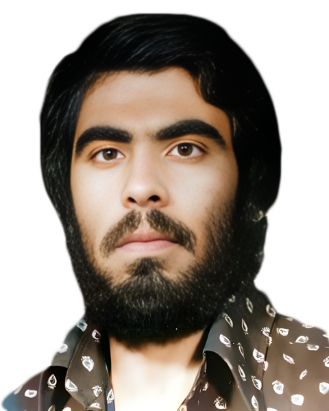 ولی شهبازی