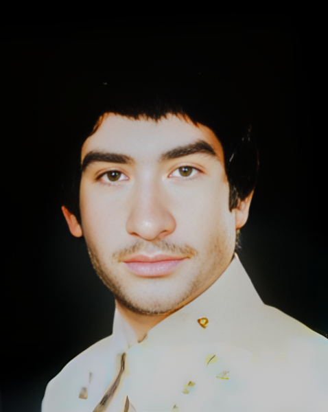 ولی شیردل