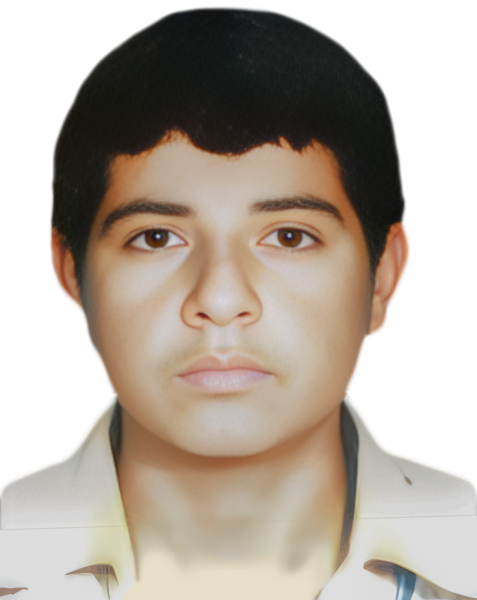 داود شیردل