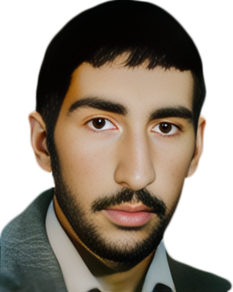 حمید صالحی