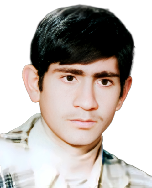 سیدم حمدشفیع نجیبی