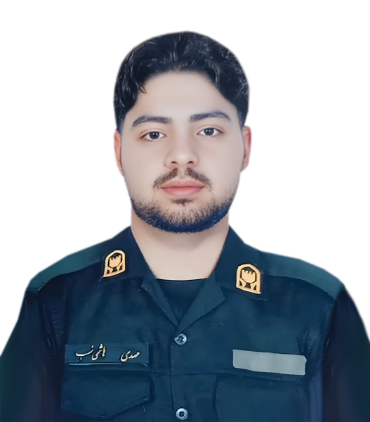 مهدی هاشمی نسب