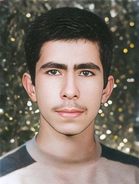 سید صلاح الدین امیریان