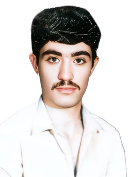 مجید دانش