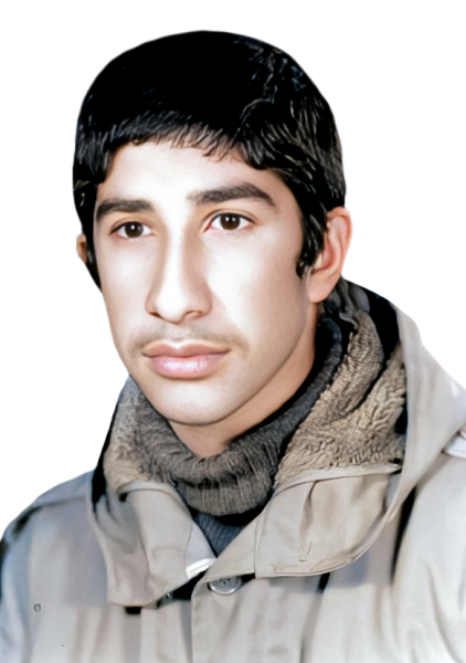 سعید شیعه