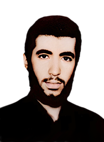محمدحسن صادقی