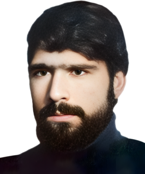 سیدعلی طباطبائی
