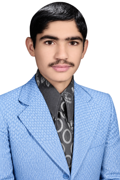 محمد علی ویسی