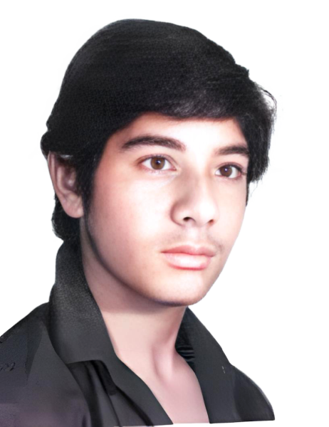 حسن عباسی