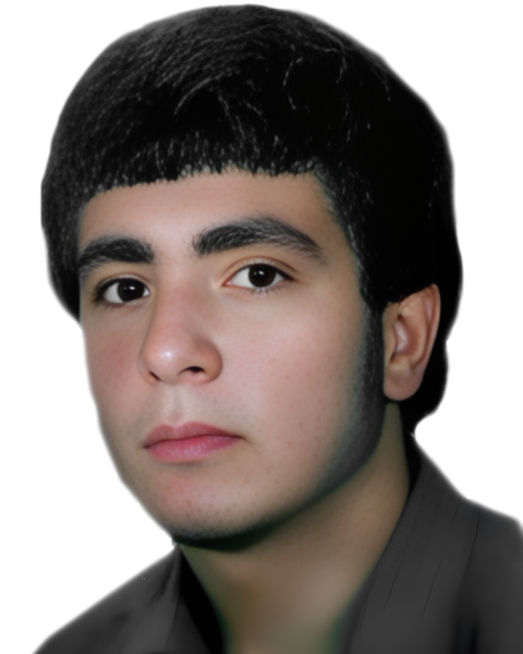 بهمن عالیشوندی