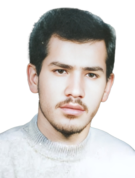 مهدی  ظریف کارفرد