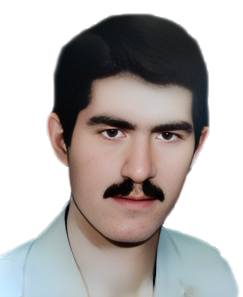 مهدی طیبی