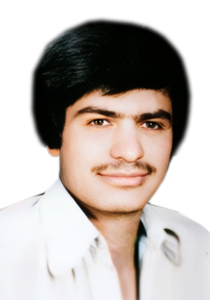 حمید علی زاده
