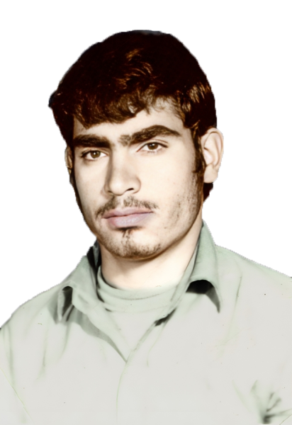 محمدباقر باشی