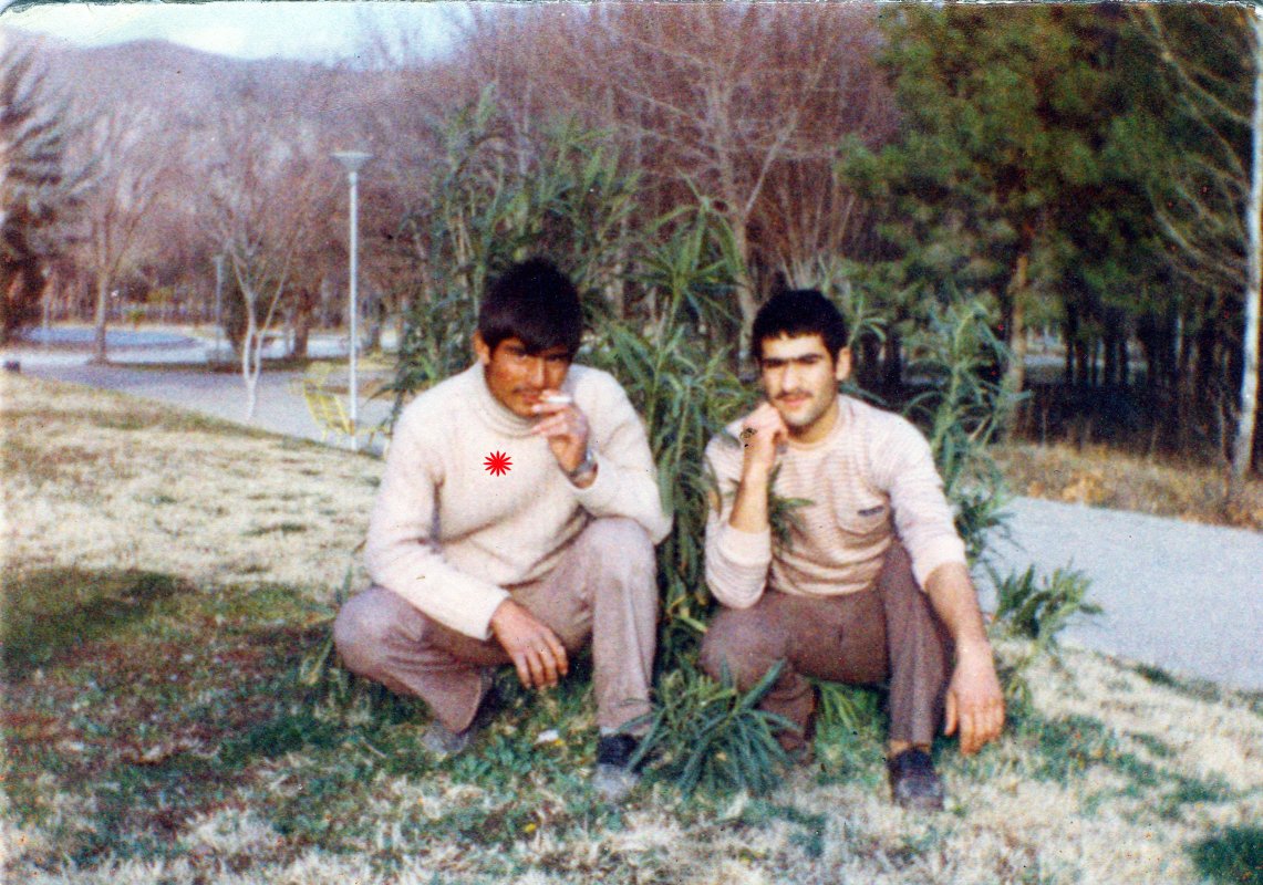 تصویر 1