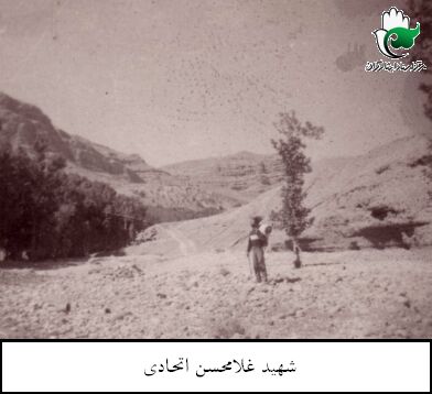 تصویر 7