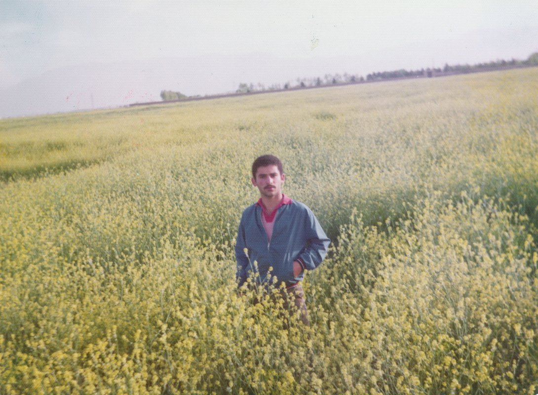 تصویر 3