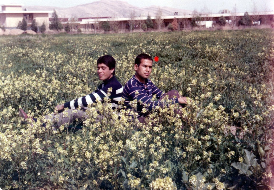 تصویر 1