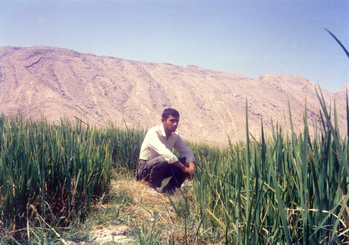 تصویر 5