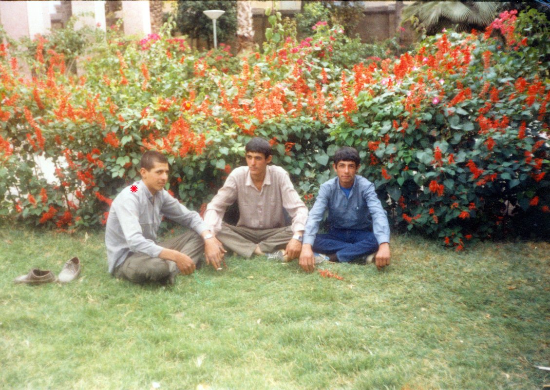 تصویر 3