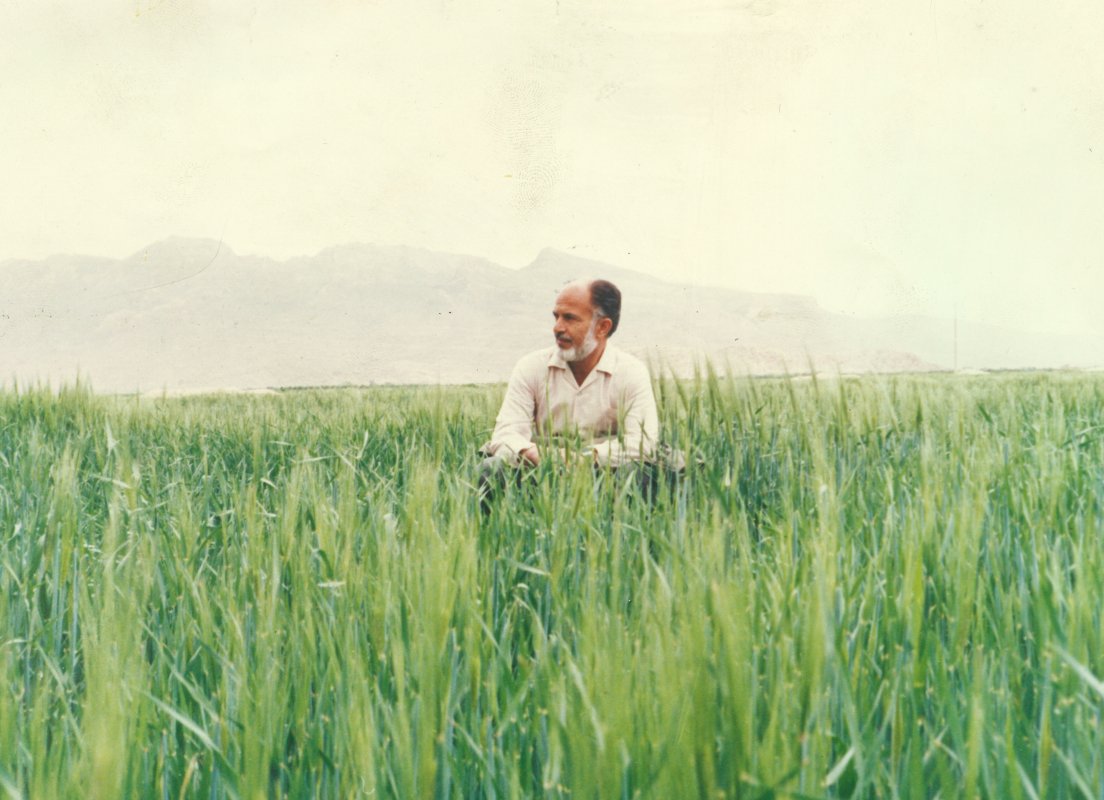 تصویر 2