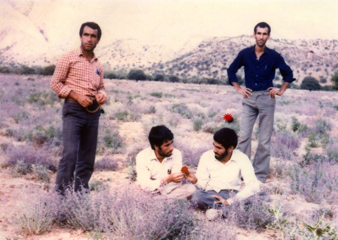 تصویر 5