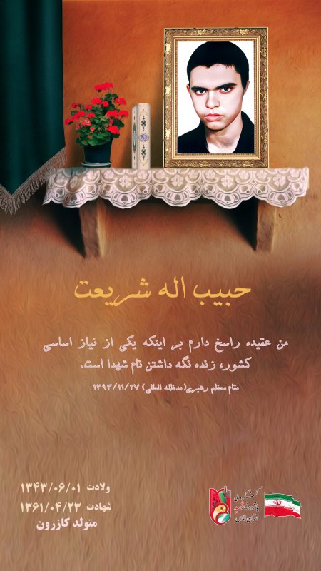 تصویر 3
