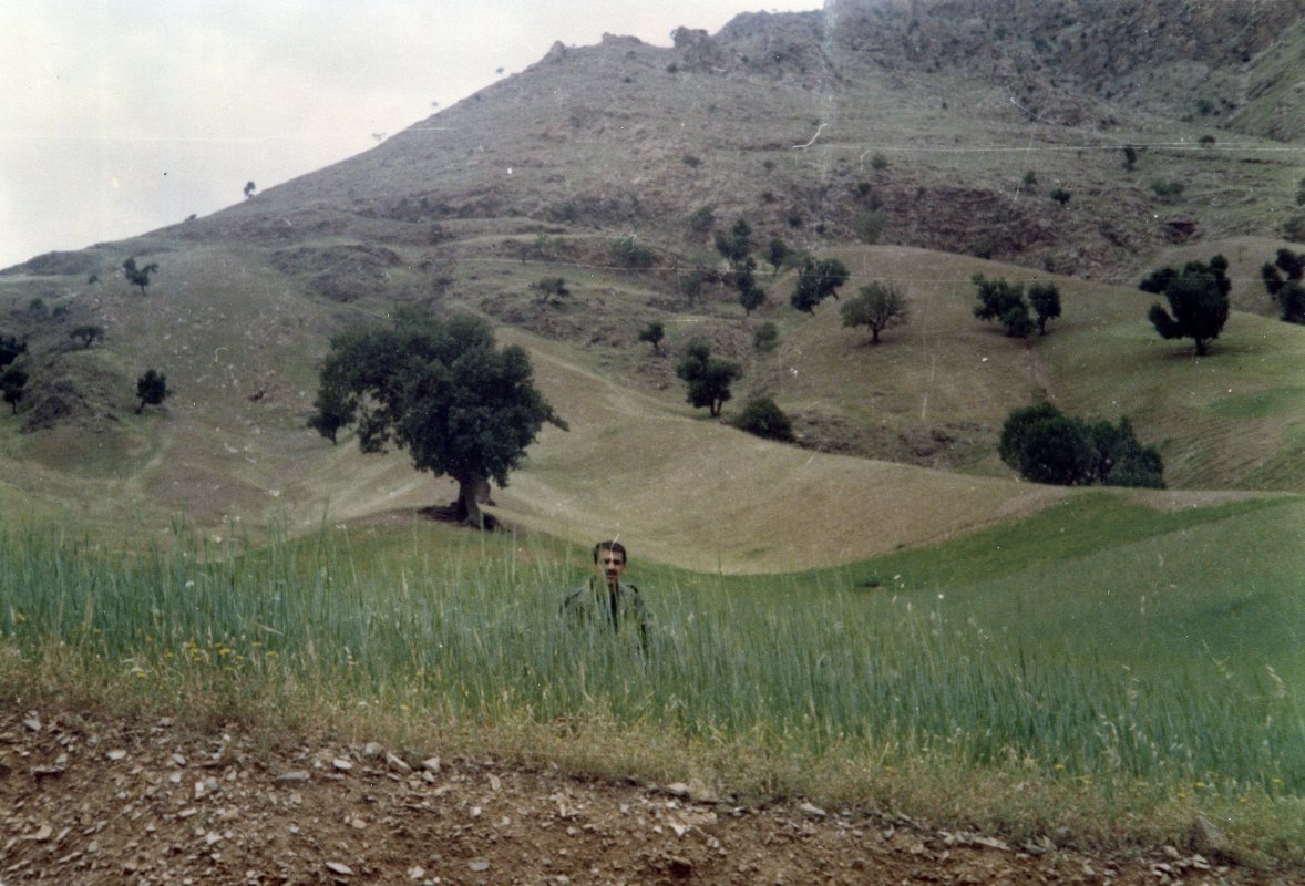 تصویر 5
