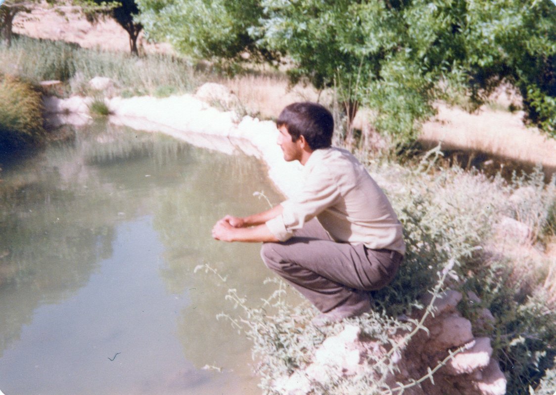 تصویر 3