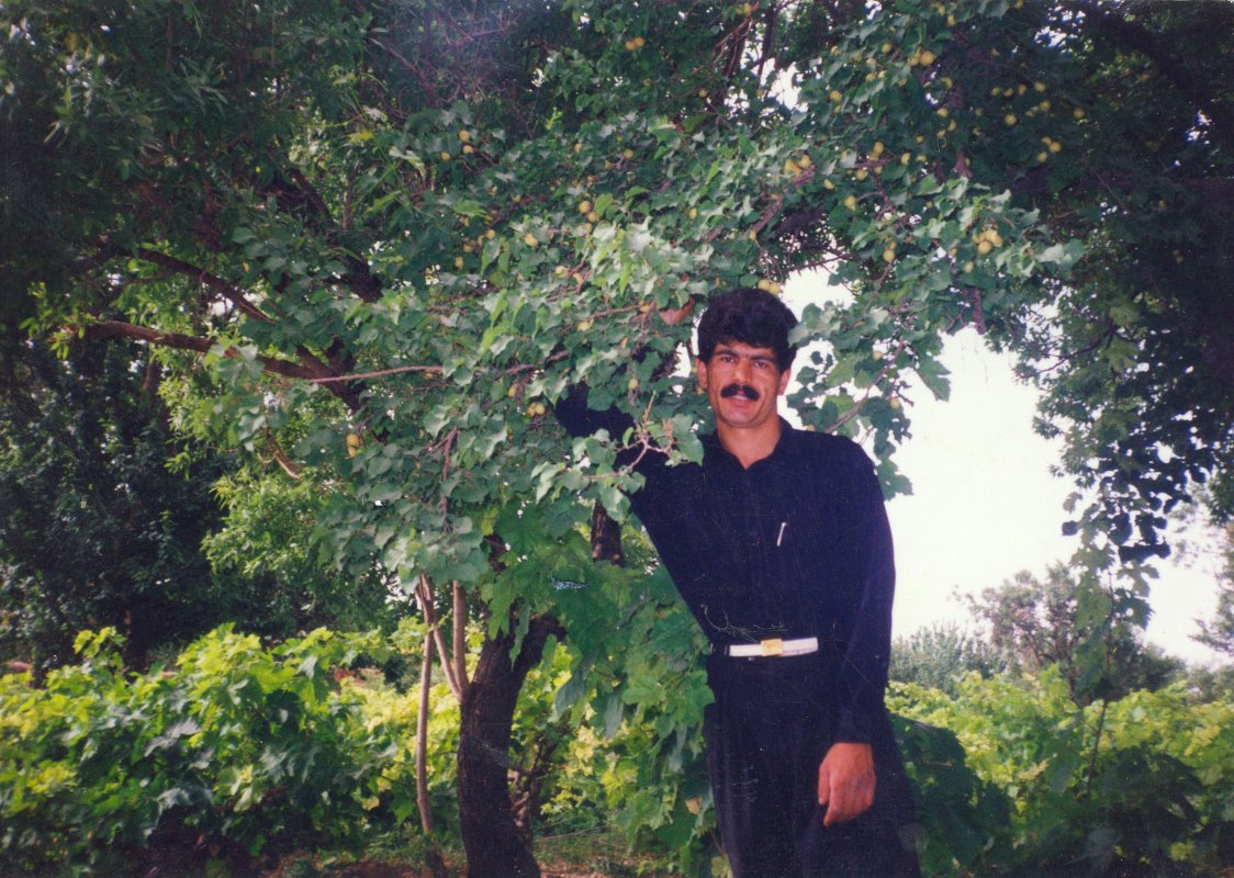 تصویر 3