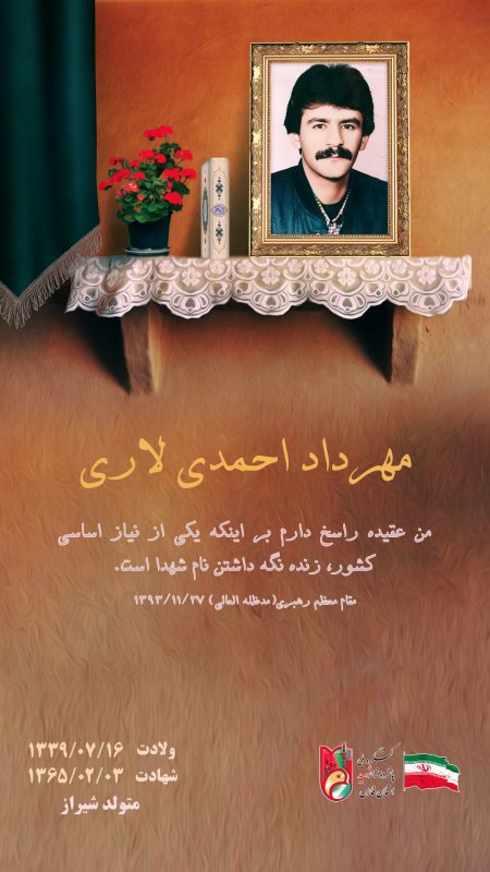 تصویر 8