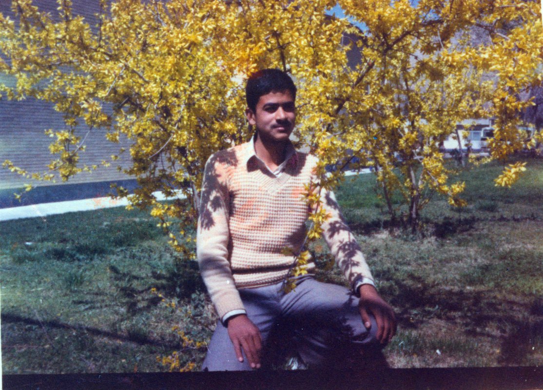 تصویر 2