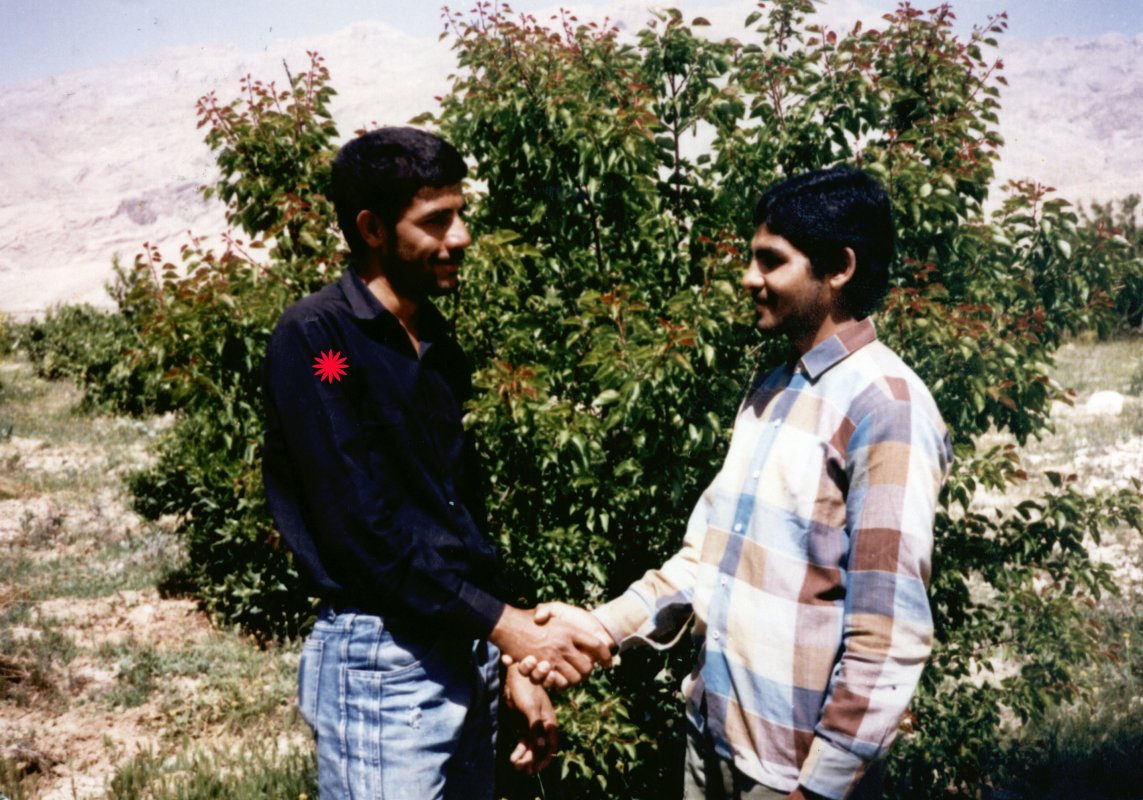 تصویر 3