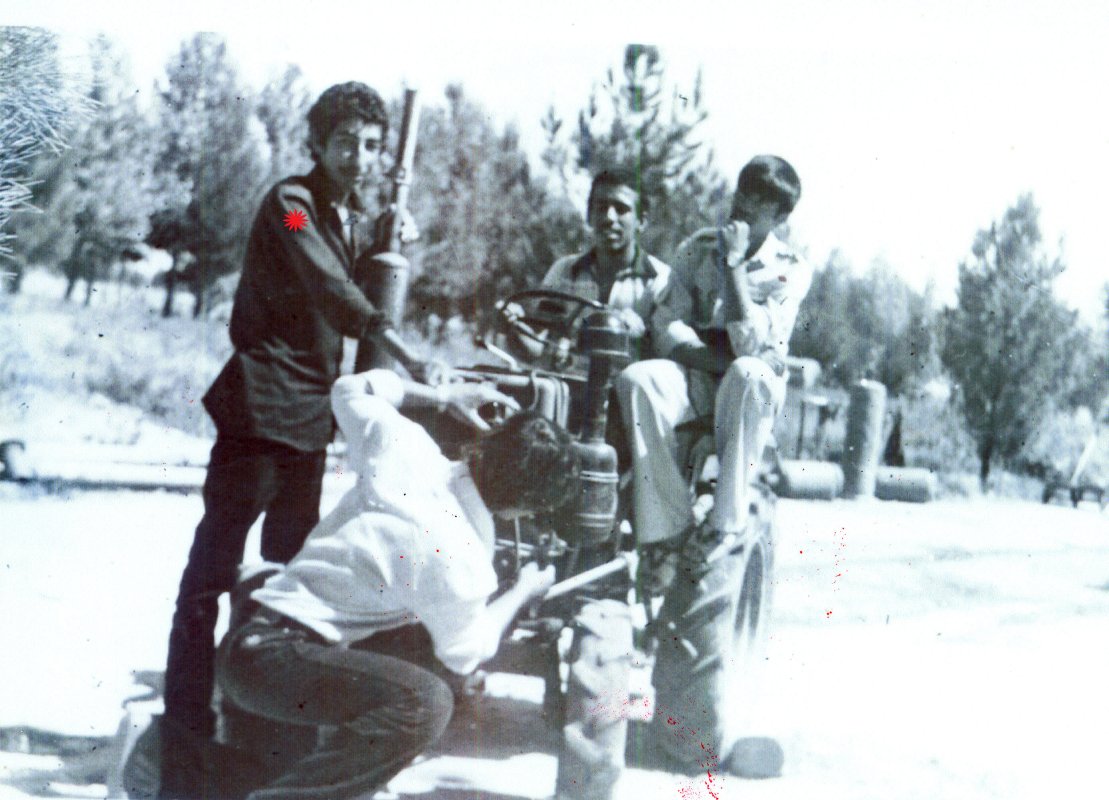 تصویر 3