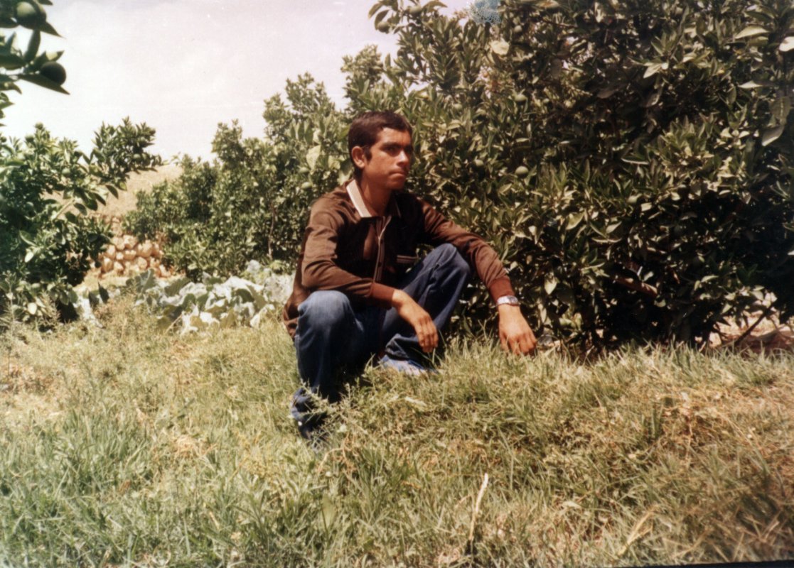 تصویر 2