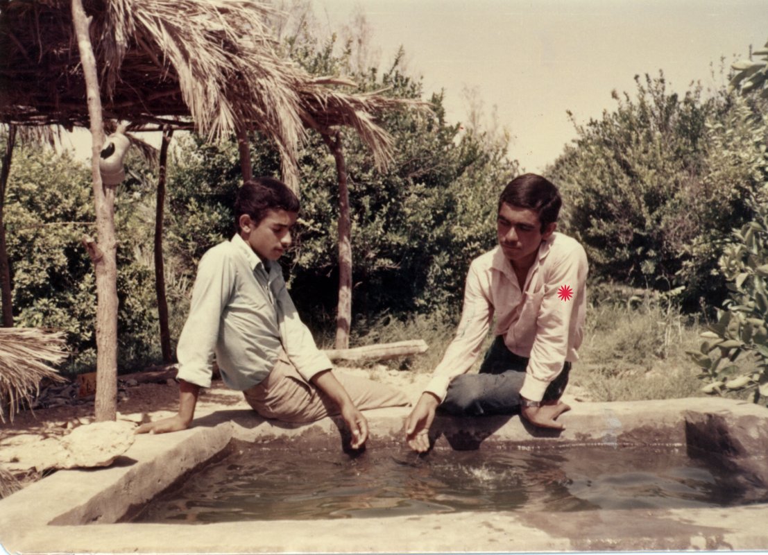 تصویر 6