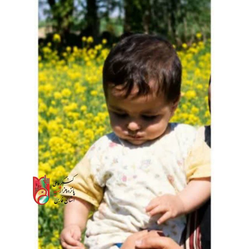 تصویر 1